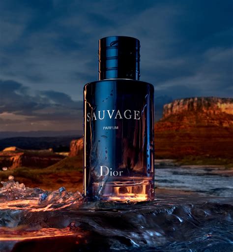 dior sauvage dames|dior sauvage best price.